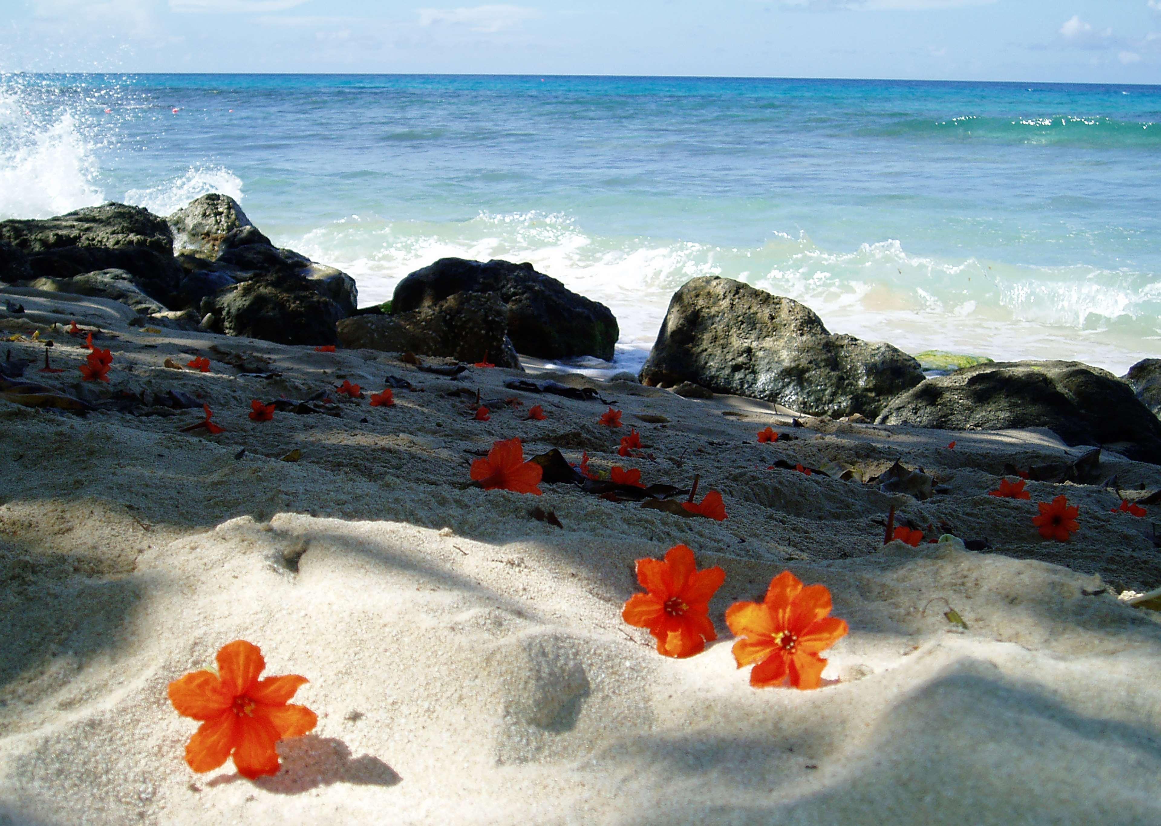 Divi Southwinds Beach Resort Christ Church Esterno foto